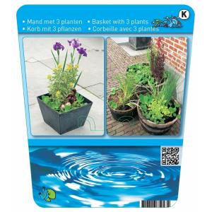 Mix waterplanten in vijvermand (3 stuks)